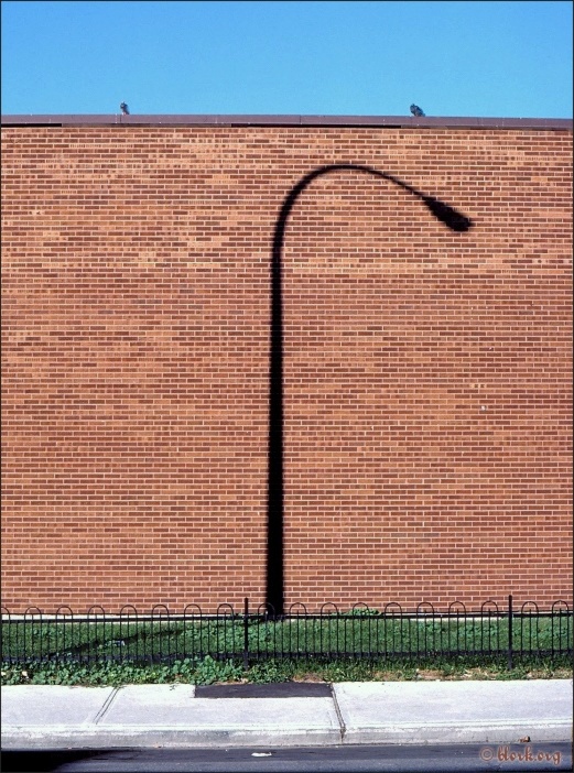 Two Pigeons