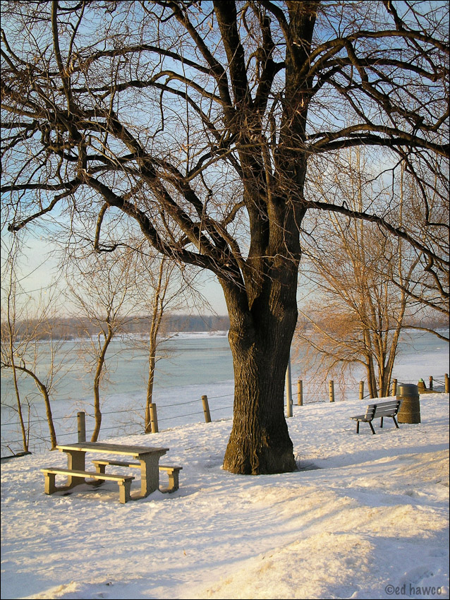 Soft winter light