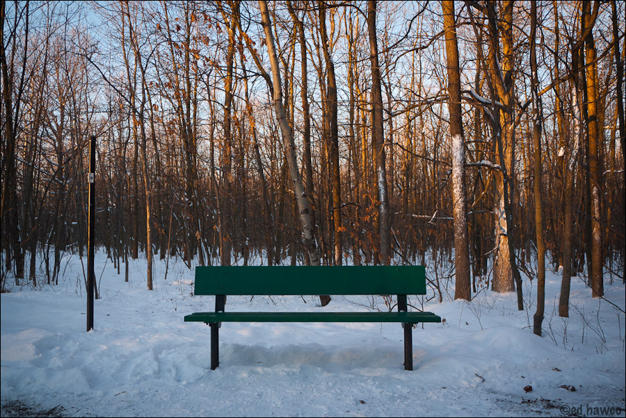 Cold Sunset
