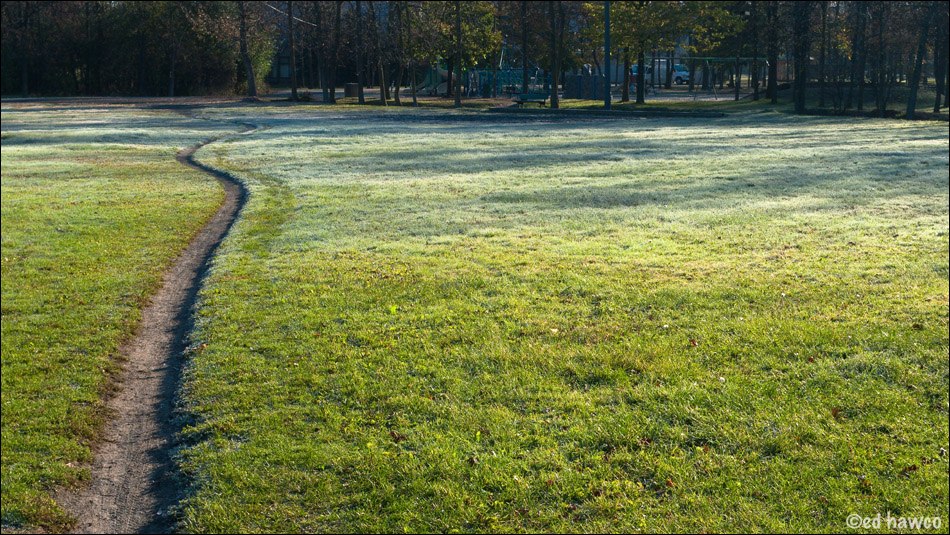 First Frost
