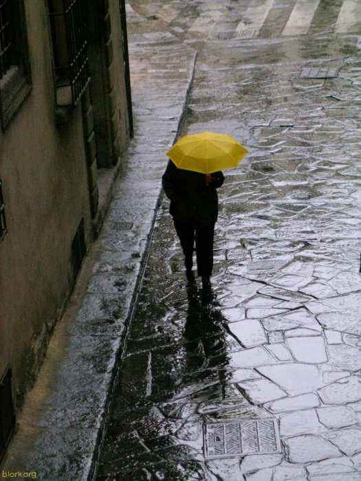Rain