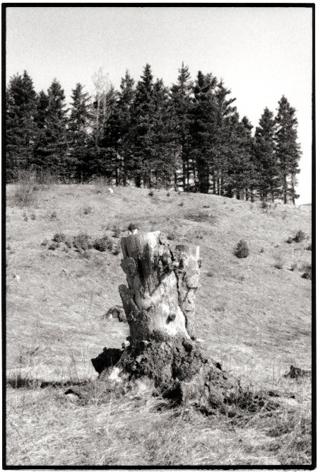Stumped