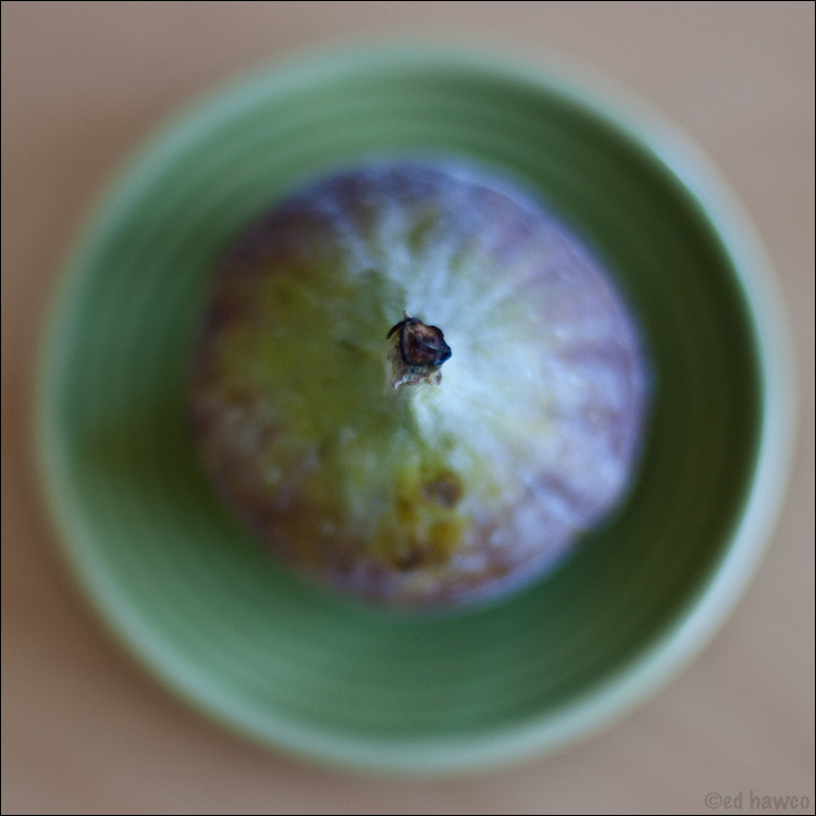 Fig