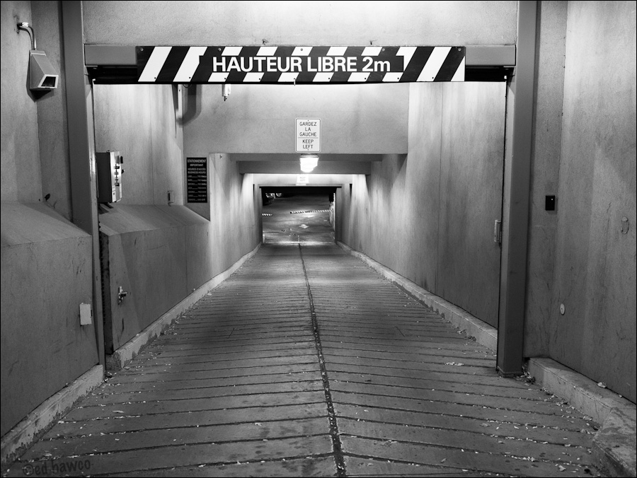 Down the hole