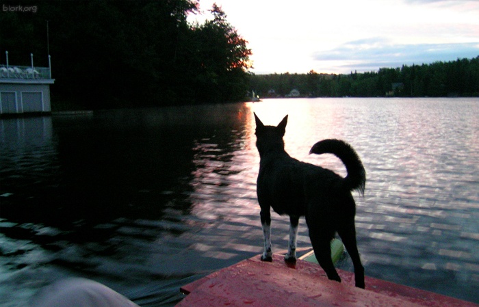 Paddleboat