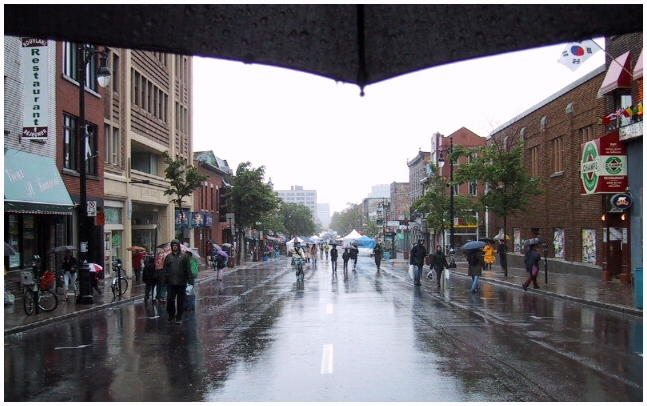 Rain on the Main