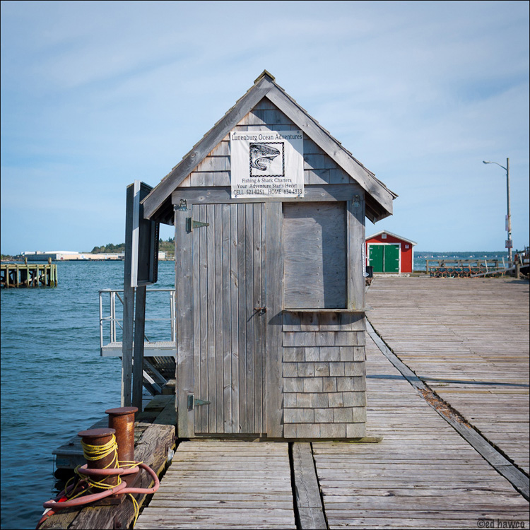 Shark Shack