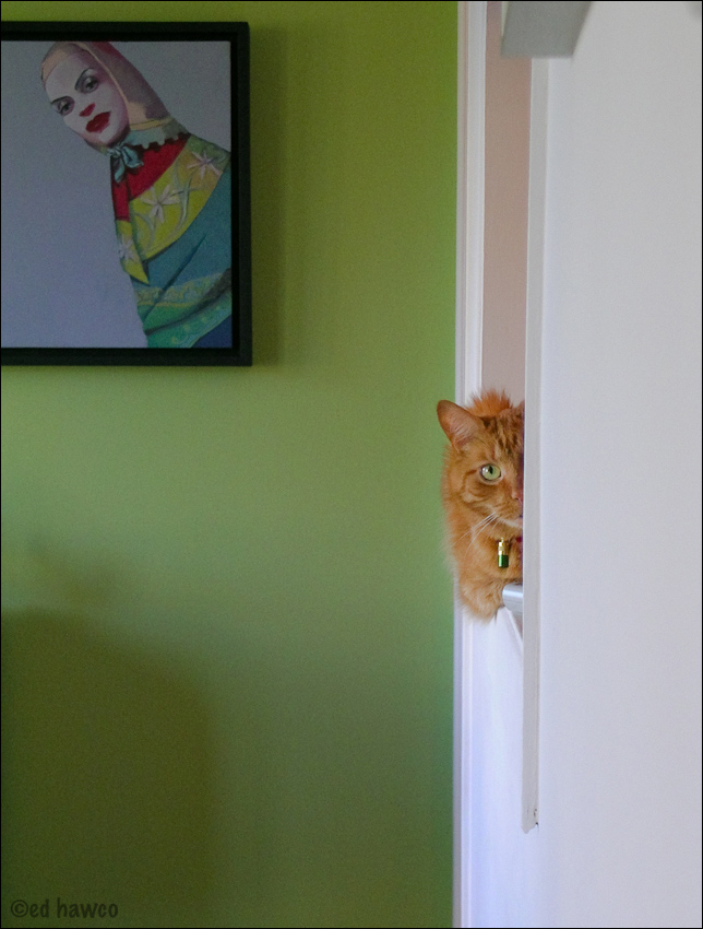 Peek!
