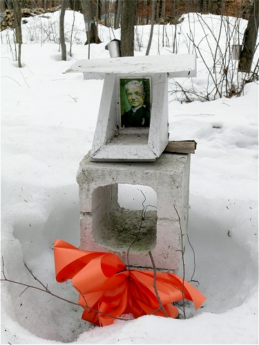 Sugar Shrine