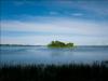 Bushy Island, from Dorval Island