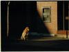 Dog Day