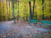 Empty Benches