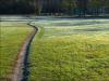 First Frost