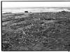 Rhône Floodwash