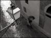Smoking in the rain; Florence, Italy