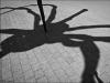 Foot of Maman
