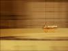 Foucault's Pendulum