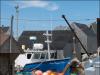 Miss Peggy's Cove