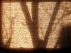 Kitchen Window (Morning)