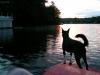 Paddleboat