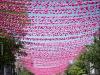 Pink Balls in the Village