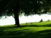 Retirement?