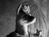 Dog in Toga, Rome