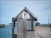Shark Shack