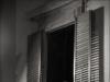 The Watcher