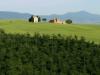 Tuscan Pastoral