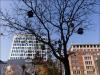 Urban Birdhouses